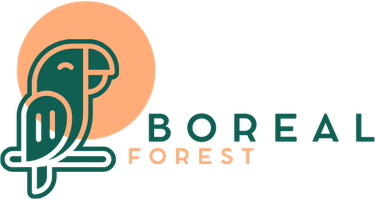 Boreal Forest